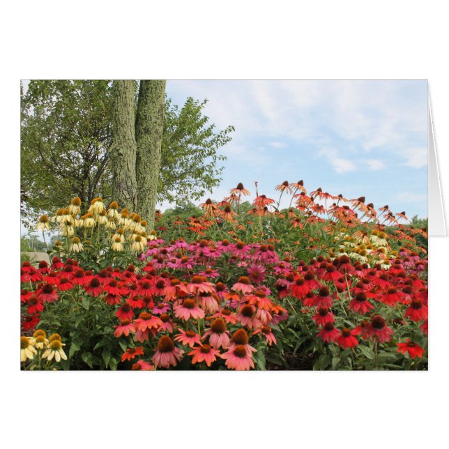 Floral Peace (Front Horizontal)