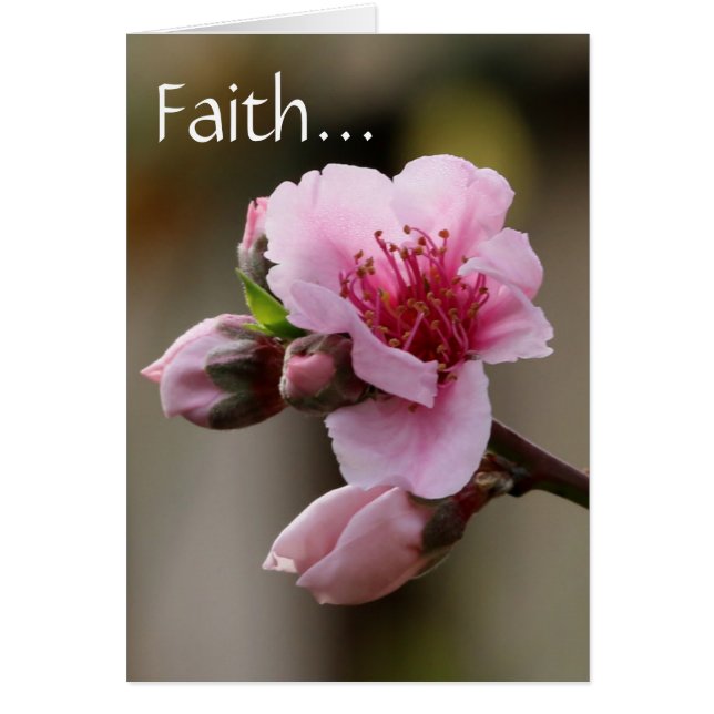 Floral, Peach Blossom w/ Scripture verse on Faith (Front)