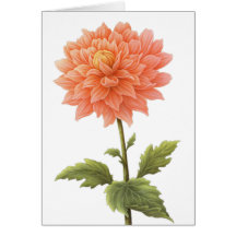 Floral Peach Orange Dahlia Flower Painting