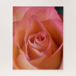 Floral Peach Pink Rose Jigsaw Puzzle