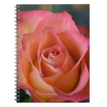 Floral Peach Pink Rose Journal or Notebook