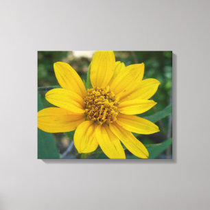 Floral Perfection in Sunshine Yellow Canvas Print