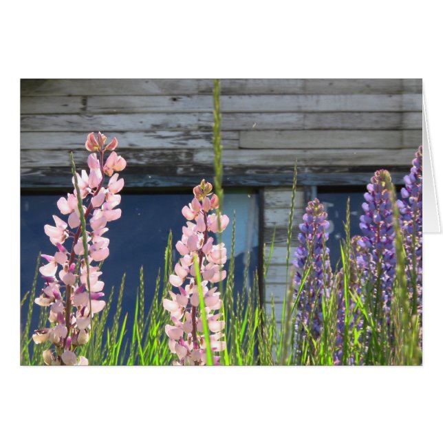 Floral Photo Card (Front Horizontal)