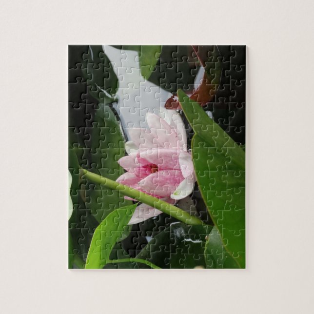 Floral Photo Pink Blossoms Water Lilly Jigsaw Puzzle (Vertical)