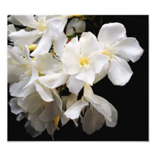 floral photo print