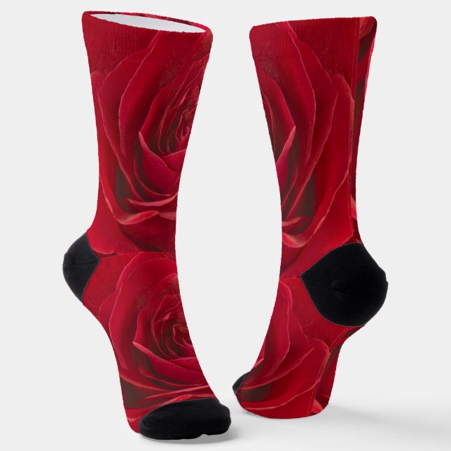 Floral Photography Bold Red/White Rose Centre Socks (Angled)