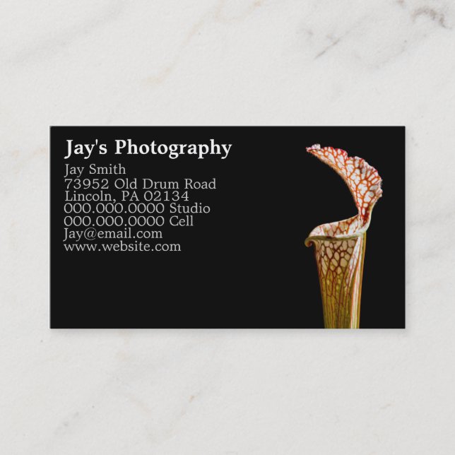 Floral Photography Business Cards (Front)