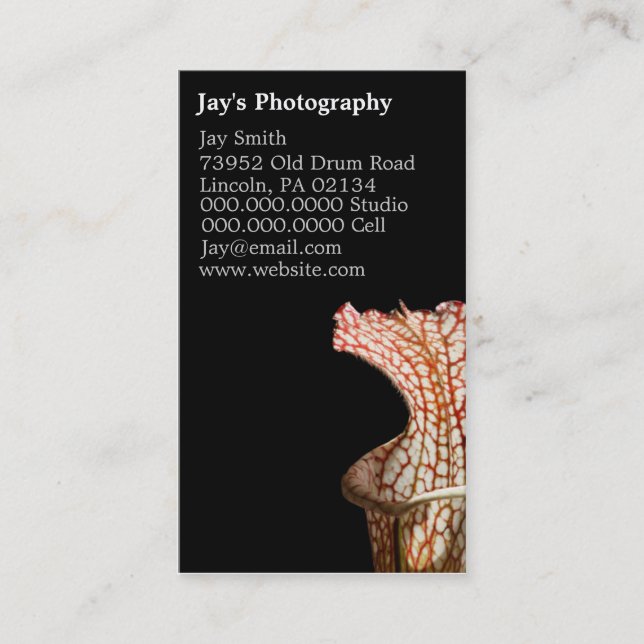Floral Photography Business Cards (Front)