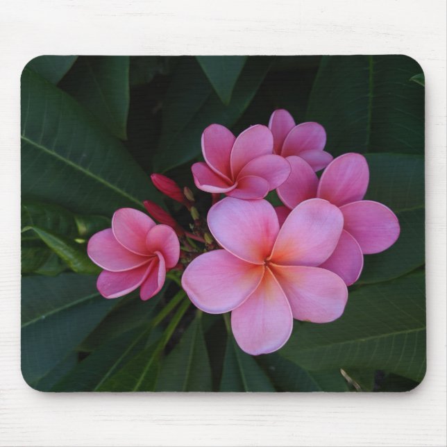 Floral Photography Mouse Mat (Front)