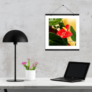 Floral Photography of Single Red Anthurium Blossom Poster