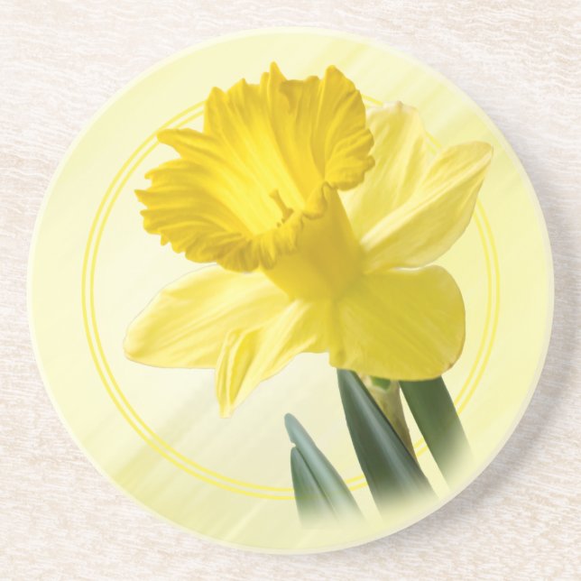 Floral Photography Yellow Daffodil Nature Pic Coaster (Front)