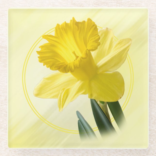 Floral Photography Yellow Daffodil Nature Pic Glass Coaster (Front)