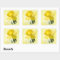 Floral Photography Yellow Daffodil Nature Pic
