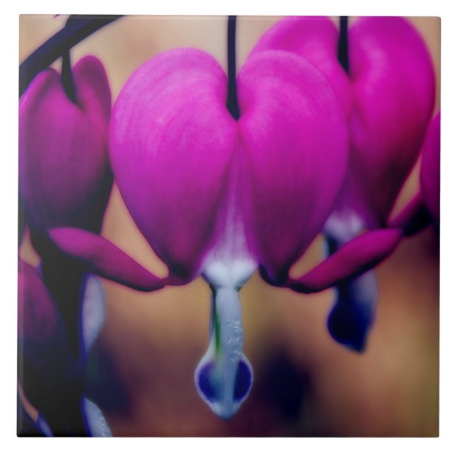 Floral Pink Bleeding Hearts Tile (Front)