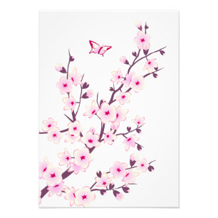 Floral Pink Cherry Blossoms Photo Print