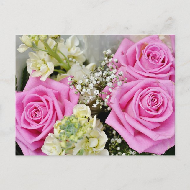 Floral Pink Rose Flower Blank Postcard (Front)