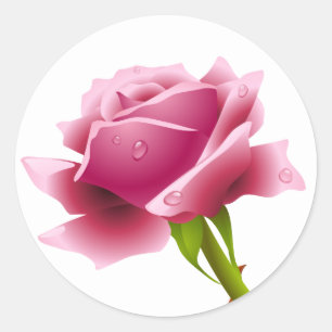 Floral Pink Rose Flower Sticker / Seal