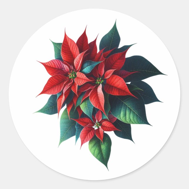 Floral Poinsettia Christmas – Festive Holiday Classic Round Sticker (Front)