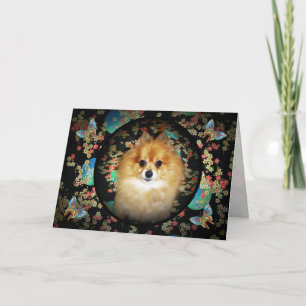 Floral Pomeranian Birthday Card