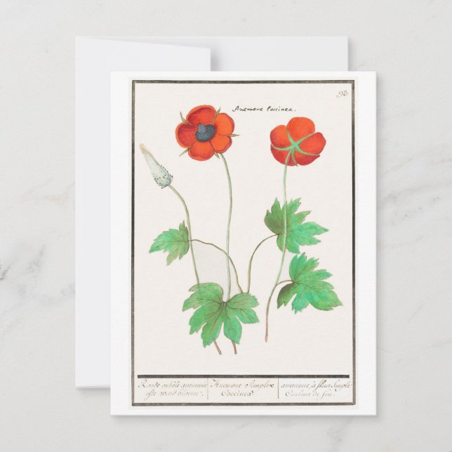 Floral Poppies Vintage Flowers Bouquet Card (Front)