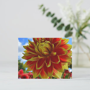 Floral postcard