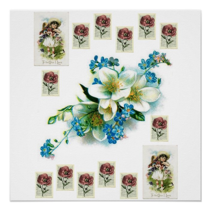 Floral Poster Zazzle.co.uk