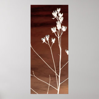 Floral Poster