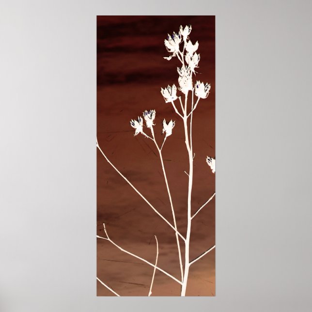 Floral Poster (Front)