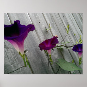 Floral Poster (Matte)