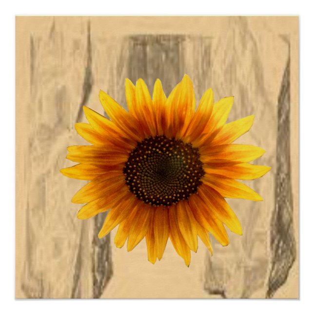 Floral Poster Sunflower (Front)