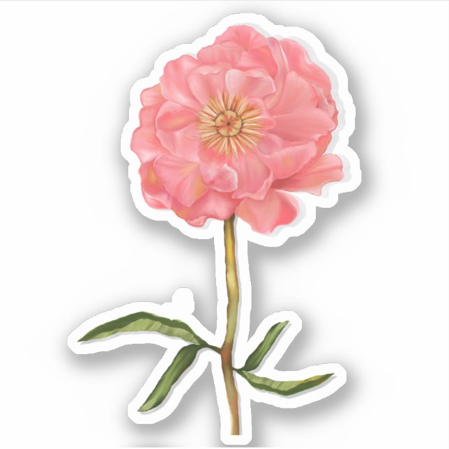 Floral Pretty Pink Peony Flower Art (Front)