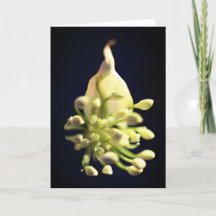 Floral Print Folded Thank You Card