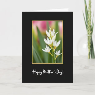 Floral Radiance Pattern Card