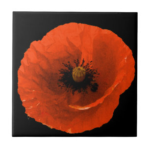 Floral Red Poppy Flower Black Custom Colorful Gift Tile