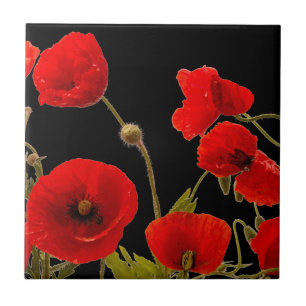 Floral Red Poppy Flowers Black Background Colorful Tile