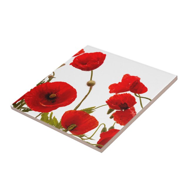 Floral Red Poppy Flowers White Background Colourfu Tile (Side)