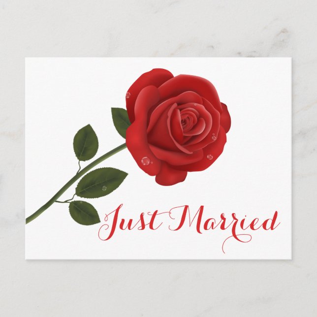Floral Red Rose Flower - Wedding Party Invitation Postcard (Front)
