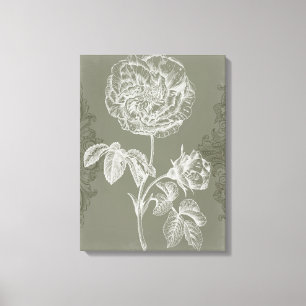 Floral Relief I Canvas Print