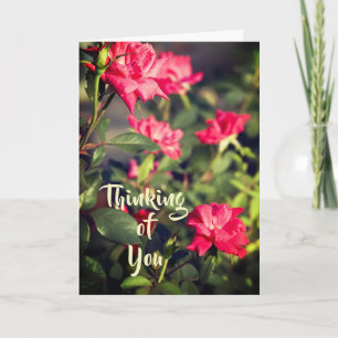 Floral Roses Thinking of You Card