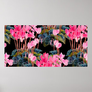 Floral seamless pattern. Pink cyclamen isolated on Poster