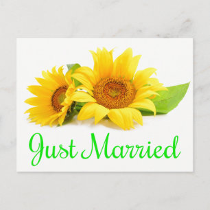 Floral Shabby Chic Pink Just Married Rose Wedding Announcement Postcard