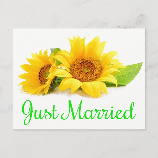 Floral Shabby Chic Pink Just Married Rose Wedding Announcement Postcard (Front)