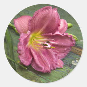 Floral Shabby Chic Pink Lily Flower Sticker