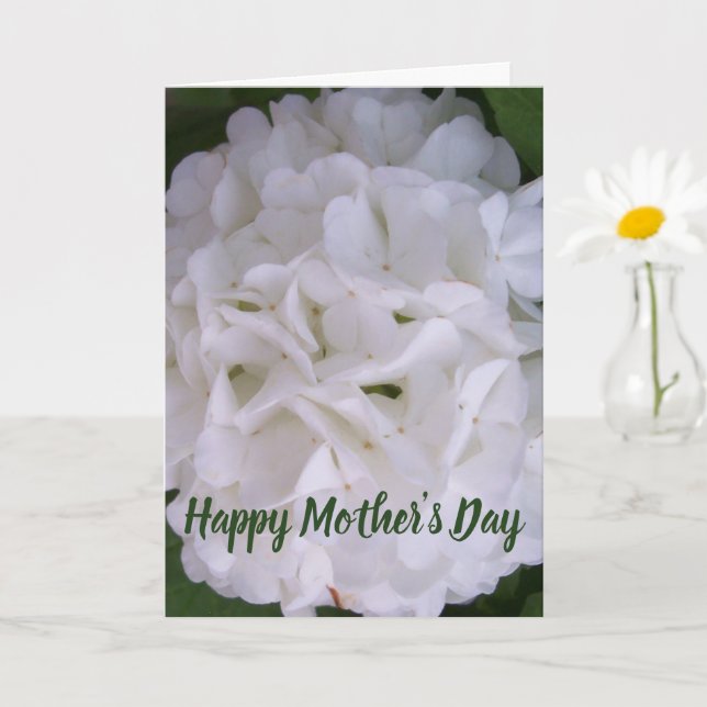 Floral Snowball Bloom Happy Mothers Day Card (Small Plant)