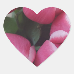 Floral Spring Bouquet of Pink Tulips, Flowers Heart Sticker