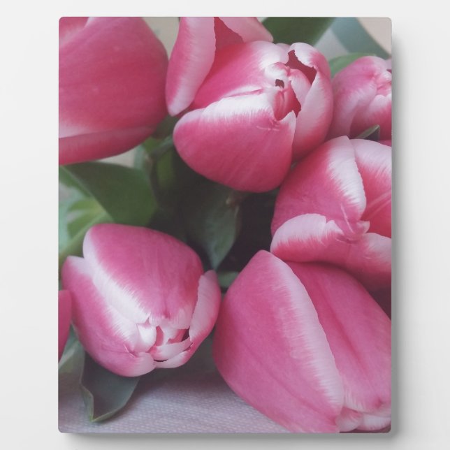 Floral Spring Bouquet of Pink Tulips, Flowers Plaque (Front)