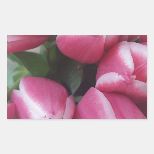 Floral Spring Bouquet of Pink Tulips, Flowers Rectangular Sticker (Front)