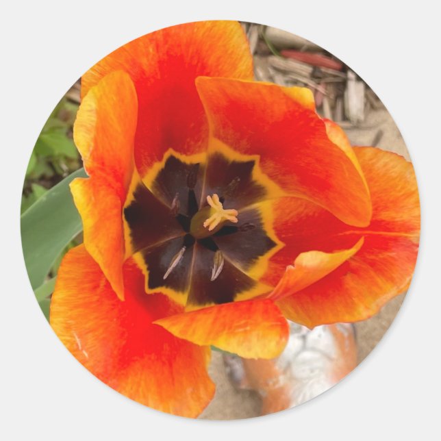 Floral Stickers (Front)