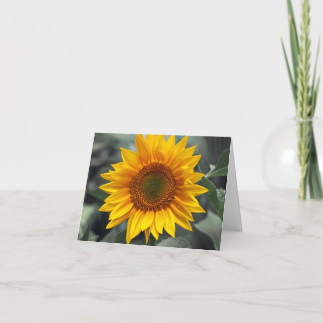 Floral Sunflower Yellow Flowers - Love, Hello etc. Card (Front)