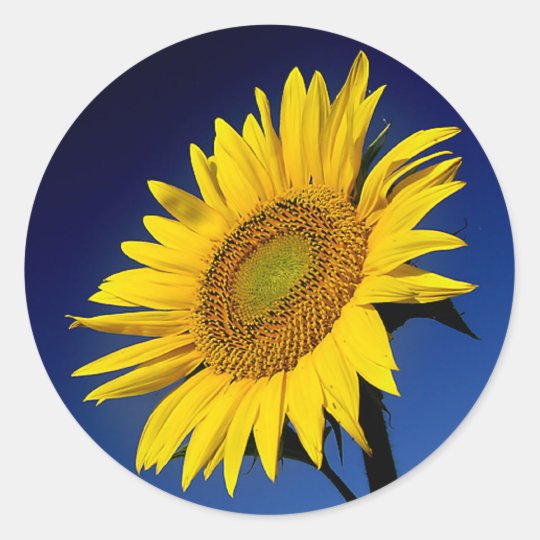 20 Sunflower Labels Birthday Wedding Sunflowers Party Favors Stickers